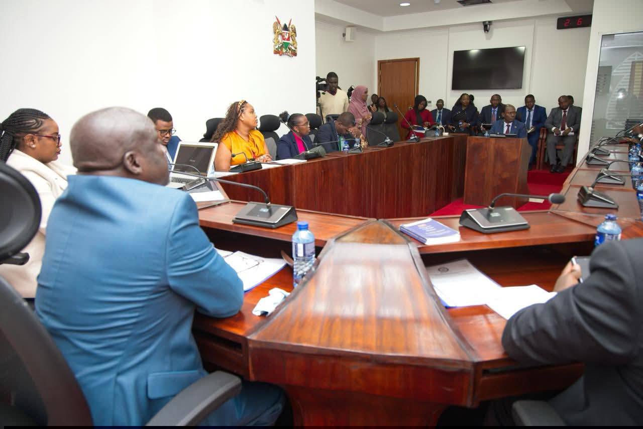  CS Kabogo highlights key milestones achieved in the delivery of digital government services