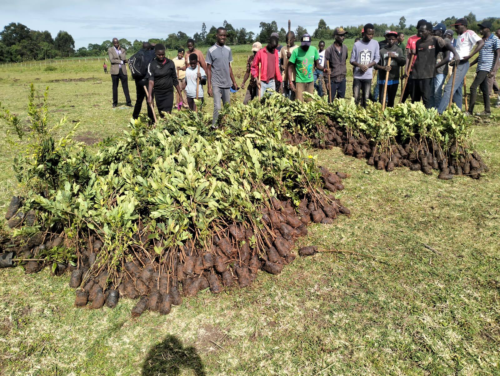 ICT Cabinet Secretary Spearheads the planting of 20,000 tree seedlings in Nandi County