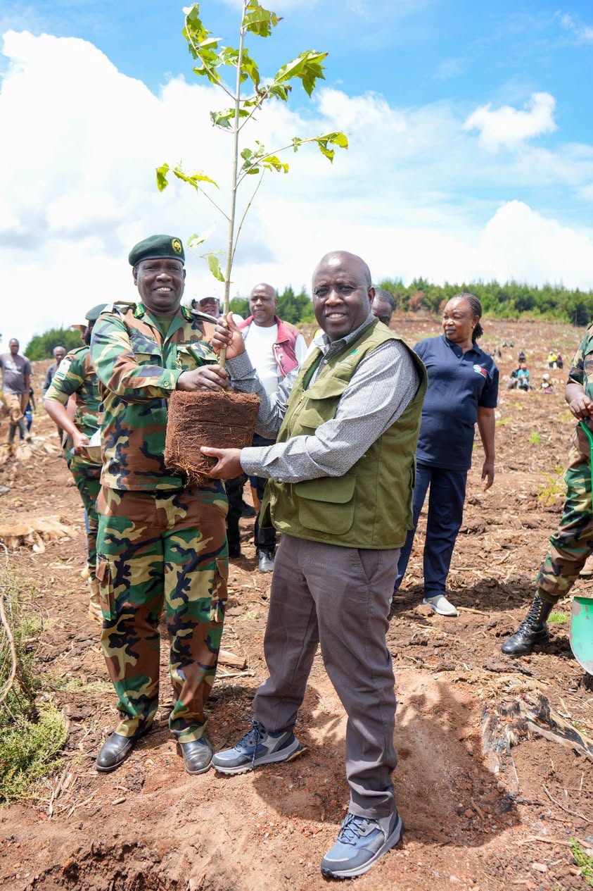 ICT PS Spearheads the planting of 10, 000 Tree Seedlings in Baringo County 