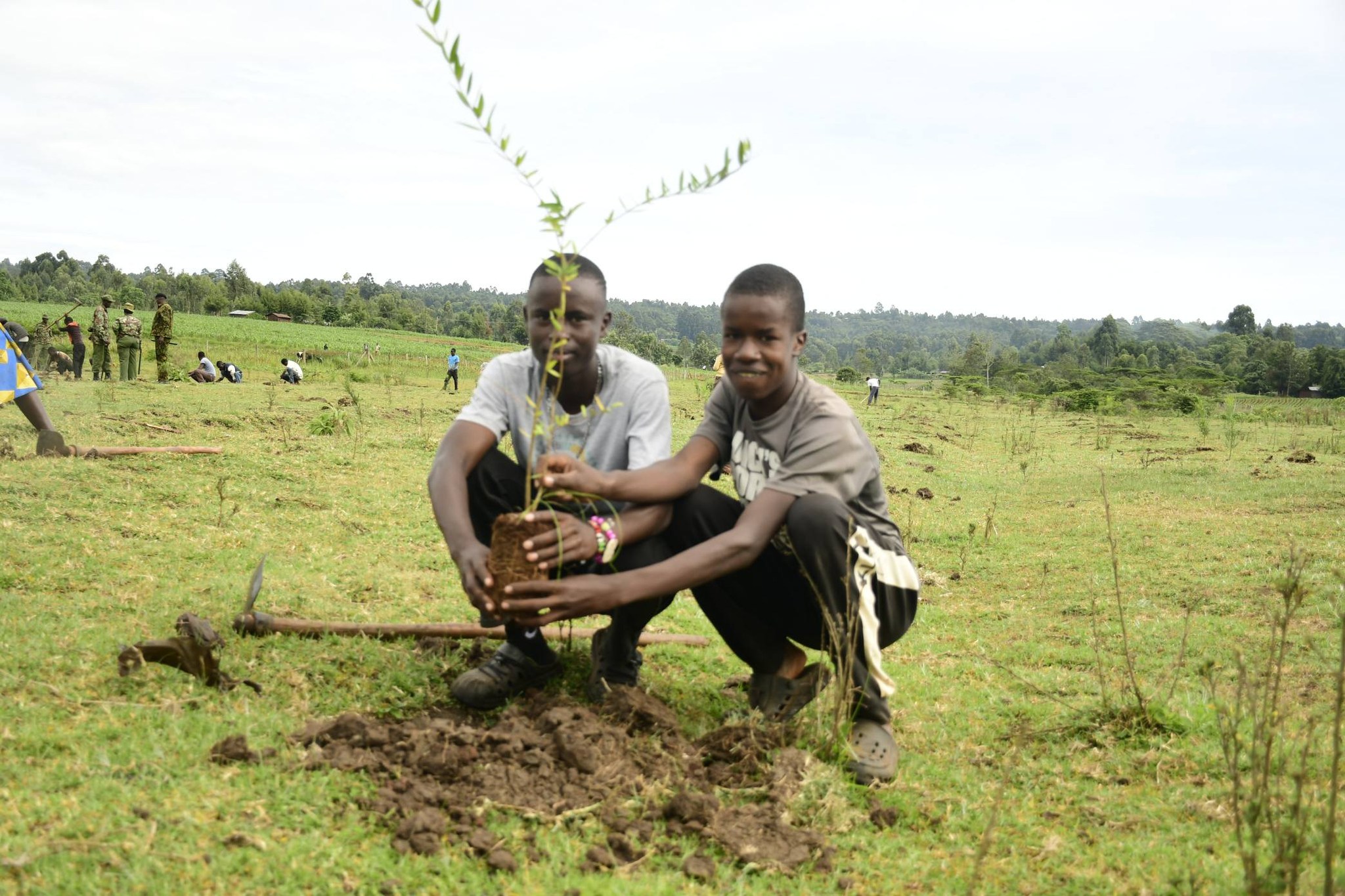 ICT Cabinet Secretary Spearheads the planting of 20,000 tree seedlings in Nandi County