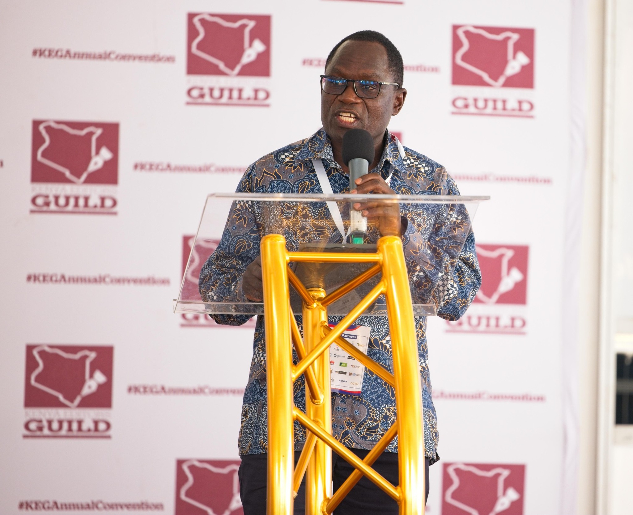 The media sector plays a key role in informing national dialogue, promoting cohesion, and strengthening democracy.