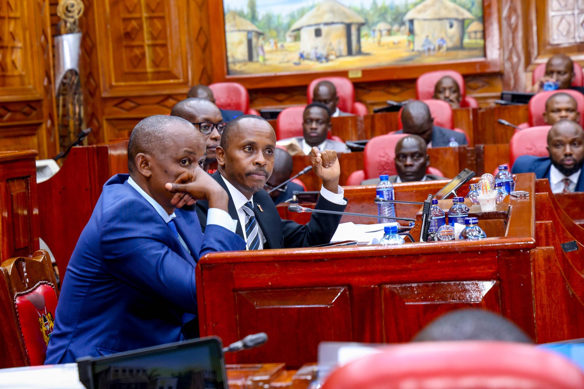 PS Eng. John Tanui Presents Supplementary Budget Estimates to National Assembly Committee
