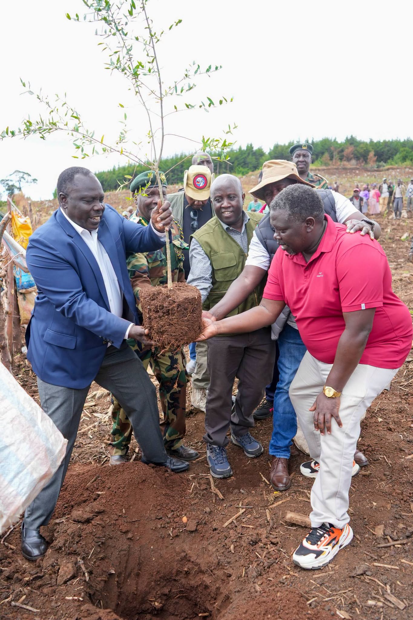 ICT PS Spearheads the planting of 10, 000 Tree Seedlings in Baringo County 