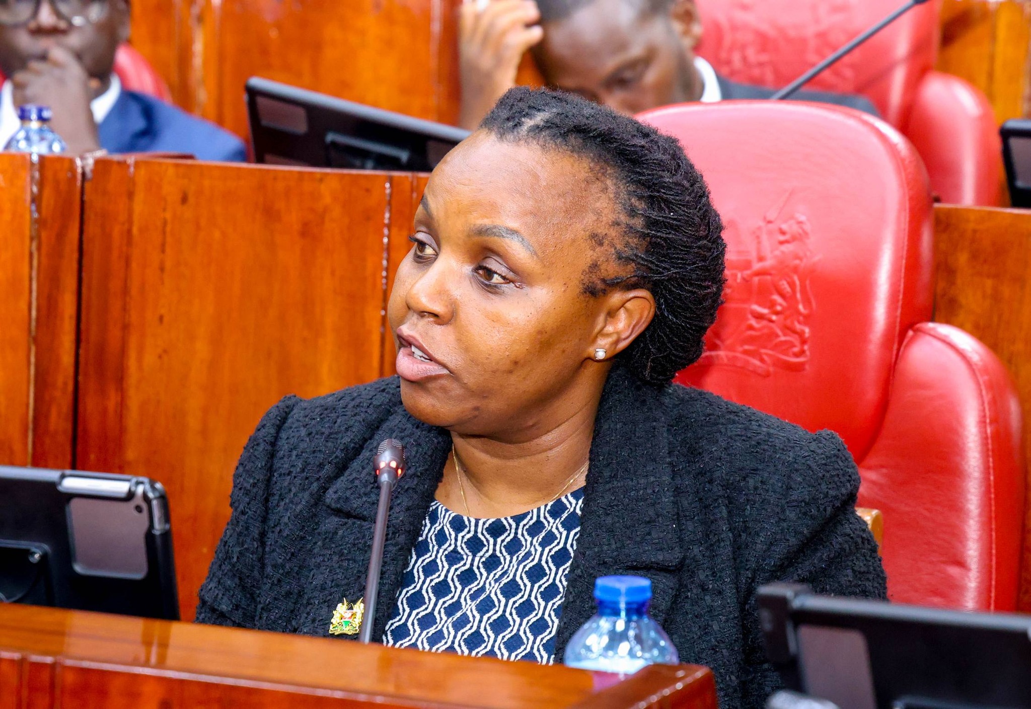 PS Eng. John Tanui Presents Supplementary Budget Estimates to National Assembly Committee