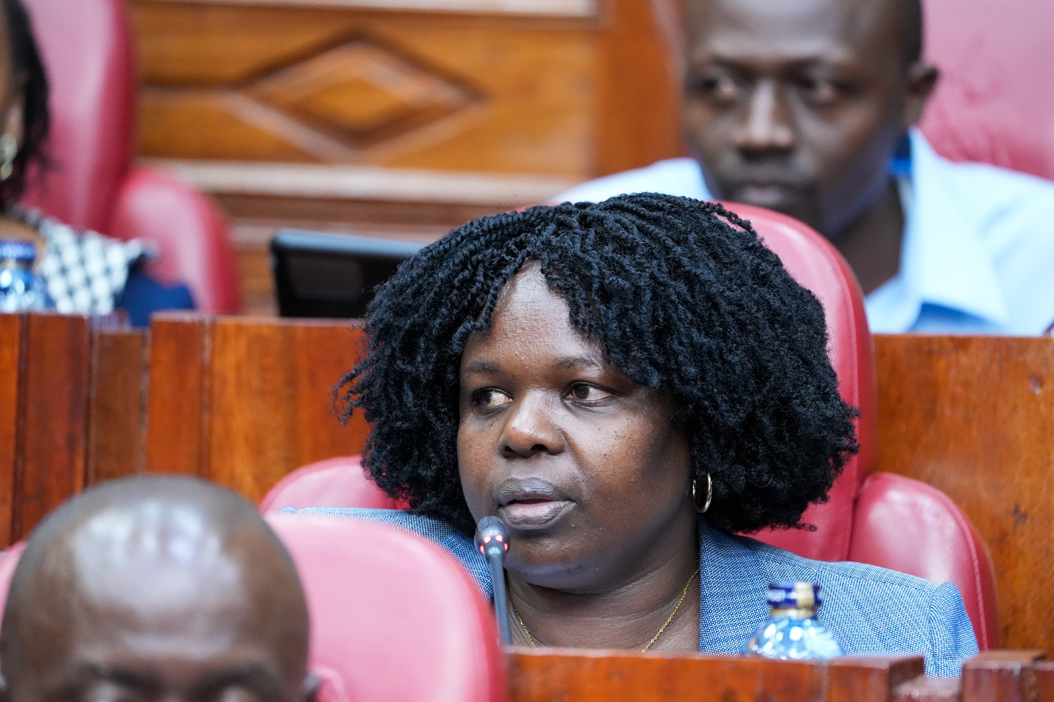PS Stephen Isaboke Briefs National Assembly Committee on Supplementary Budget