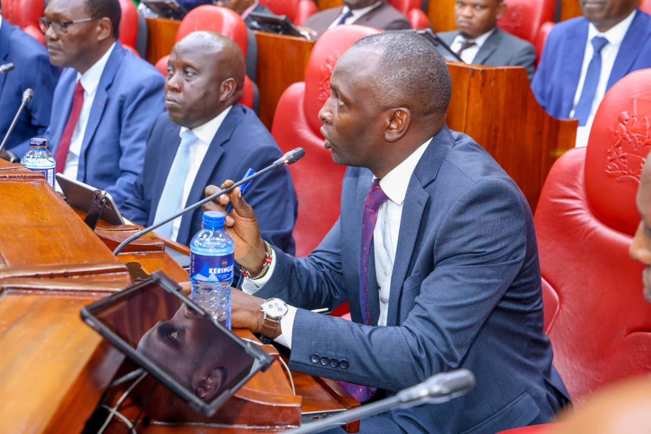eCitizen : PSs Outline Platform's Resilience and Progress Before PAC