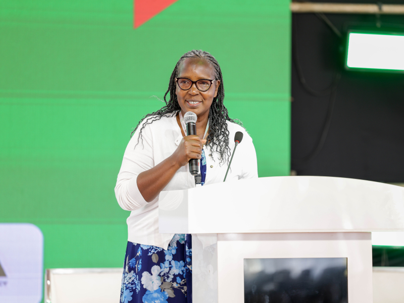 The Kenya Software and AI Summit 2025