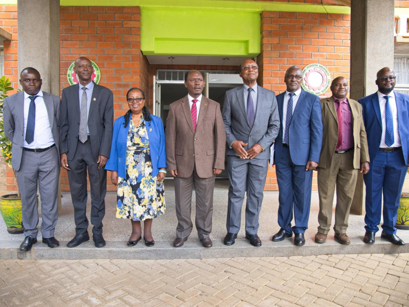 Partnership with Local institutions to build local capacity