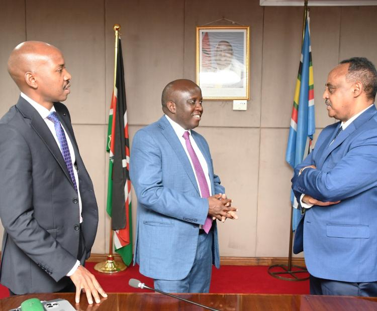 Government Committed to Enhancing Internet Connectivity and Access Across Kenya and Its Borders