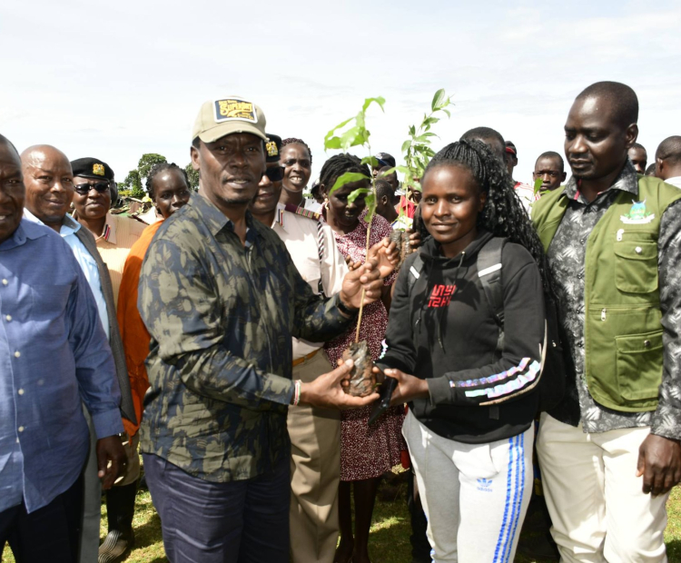 ICT Cabinet Secretary Spearheads the planting of 20,000 tree seedlings in Nandi County