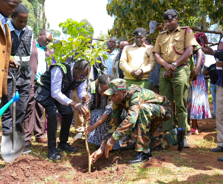 PS Isaboke plants a tree at Bogesaka DOK Primary and Junior High School