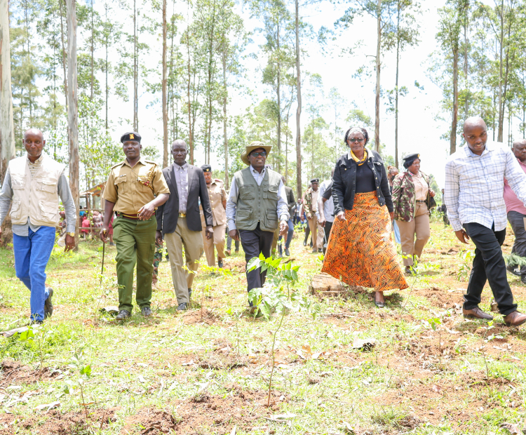 PS Isaboke leads tree planting exercise ahead of Mazingira Day 2026 tomorrow